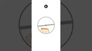 Cute Hamster 😍 Animated Running Loader | HTML CSS 