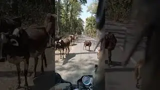 Power house (Lohia head to) Khatima