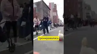 утка на спорте #lafierro #утка #уткавдуховке #рецепты #какприготовить #уткасяблоками #какприготовить