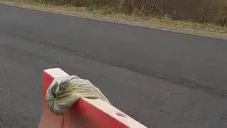 Асфальтирование дорог в Москве и Московской области – цена