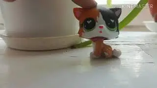 LPS: день в художке