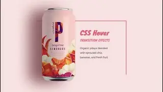 CSS Hover Transition Effect 