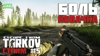 Escape from Tarkov - Боль новичка СТРИМ #5