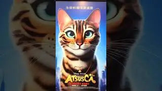 #кот