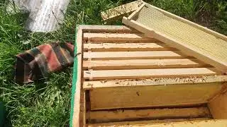 Ставим магазины в конце мая