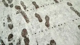 Снежное утро в Москве....
