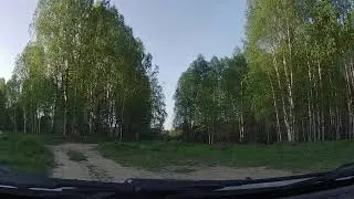 Дорога Дмитриевское  Чакрыгино Сокольского района Нижегородской области