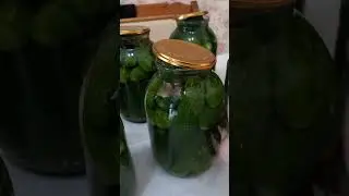 11 июля 2024 г.