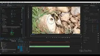 How to Blur Anything in Premiere Pro | Faces, Objects & Backgrounds