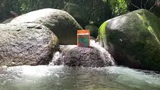 Anetos - Back to Nature