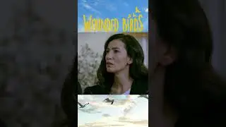حلقه را پرتاب کرد #shorts #yaralikuslar #woundedbirds