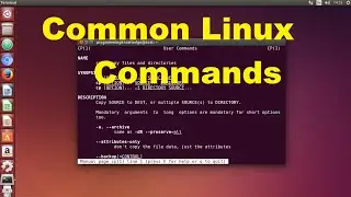 Introduction to the Linux Basics | AWS EC2