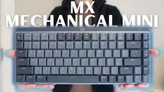 BEST Beginner Mechanical Keyboard? MX Mechanical Mini