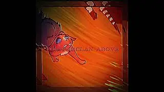 Me. //#warriorcats #edit #real #savethewacafandom