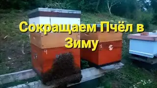 Сокращаем гнезда в Зиму.Часть2