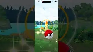 Ponyta Community Day