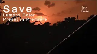 how to save your preset in premiere pro | how to save color preset in premiere pro