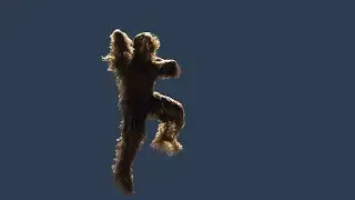 Happy Wookie