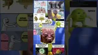 Мемы 