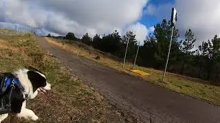 Hodge’s freedom parkrun tour stop #13-2 (Coombs)