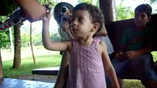 fotos nobres 2010 065