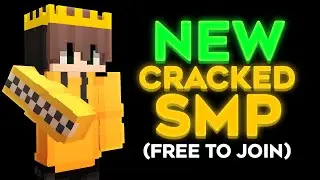 Why YOU Should Play This Cracked SMP