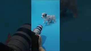 Миниатюрная девочка