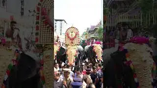 Where the beats of drums and the colors of the festival come to life! 