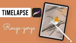 Timelapse Procreate - Rouge gorge