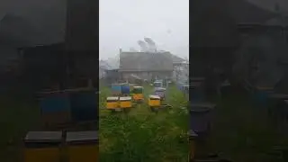 7 сентября 2023 г.