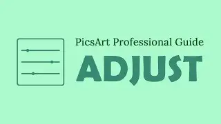 PicsArt Professional Guide | How to use Adjust Tool like professional by using PicsArt