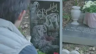 Pet cementary