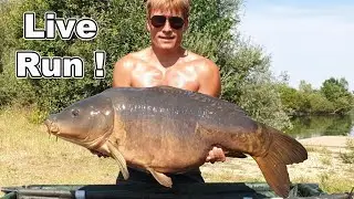 Le Grand Etang carpfishing 2020 / Karpervissen in Frankrijk