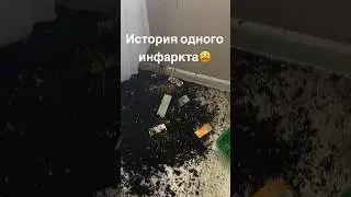 «Мыши плакали, кололись, но продолжали грызть кактус»😃🌿