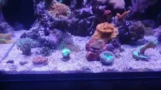 Rico's Nano Challenge 2018