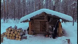 I'm making my way on a motorized pusher. Harvesting firewood in a forest house.