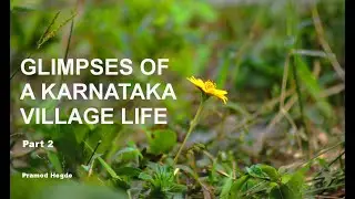 Glimpses of a Karnataka Village - Kesaragadde, Beluvai in 4K - Part 2