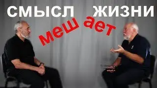 Смысл мешает жизни