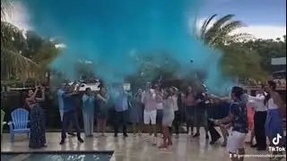 Gender reveal(2)