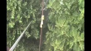 Medieval Sword Tests 5 of 5