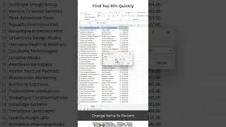 Excel Time Savers : Find Top 10% From Filters