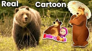 masha and the bear characters in real life 💥