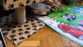 робот пылесос  и ребенок с котами - все на уборку