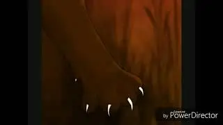 |Клип||Коты воители||Коршун-Лицемер|