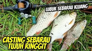 Casting Sebarau Tujuh Ringgit | Lubuk Badong Kluang