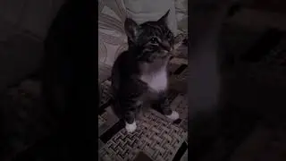 Масику на лечение дотируем все.