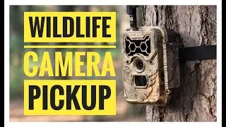 Trail Cam Pick-up