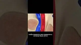 УЛУЧШИТЬ ПИЩЕВАРЕНИЕ ● Зажимы шеи, спины, спазм желчного и диафрагмы