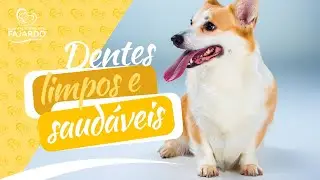Dicas Odontológicas