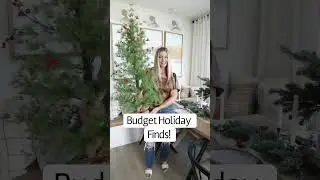 Budget Holiday Decor Finds! 